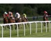  Carrera: P.Velayos Monta: R.Sousa Caballo: Cheaper